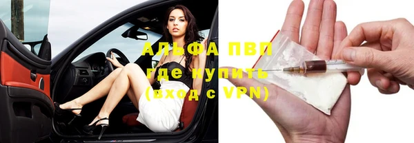 метадон Алексин