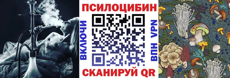 Псилоцибиновые грибы Psilocybe  Десногорск 